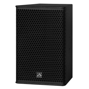 10″ PASSIVE FULLRANGE SPEAKER